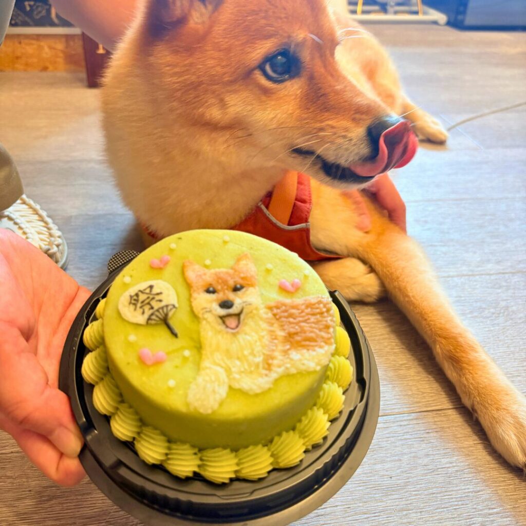 ケーキ