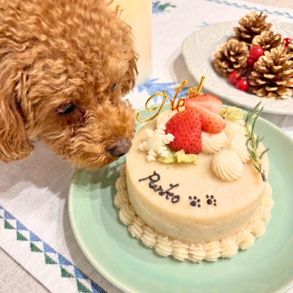 ケーキ