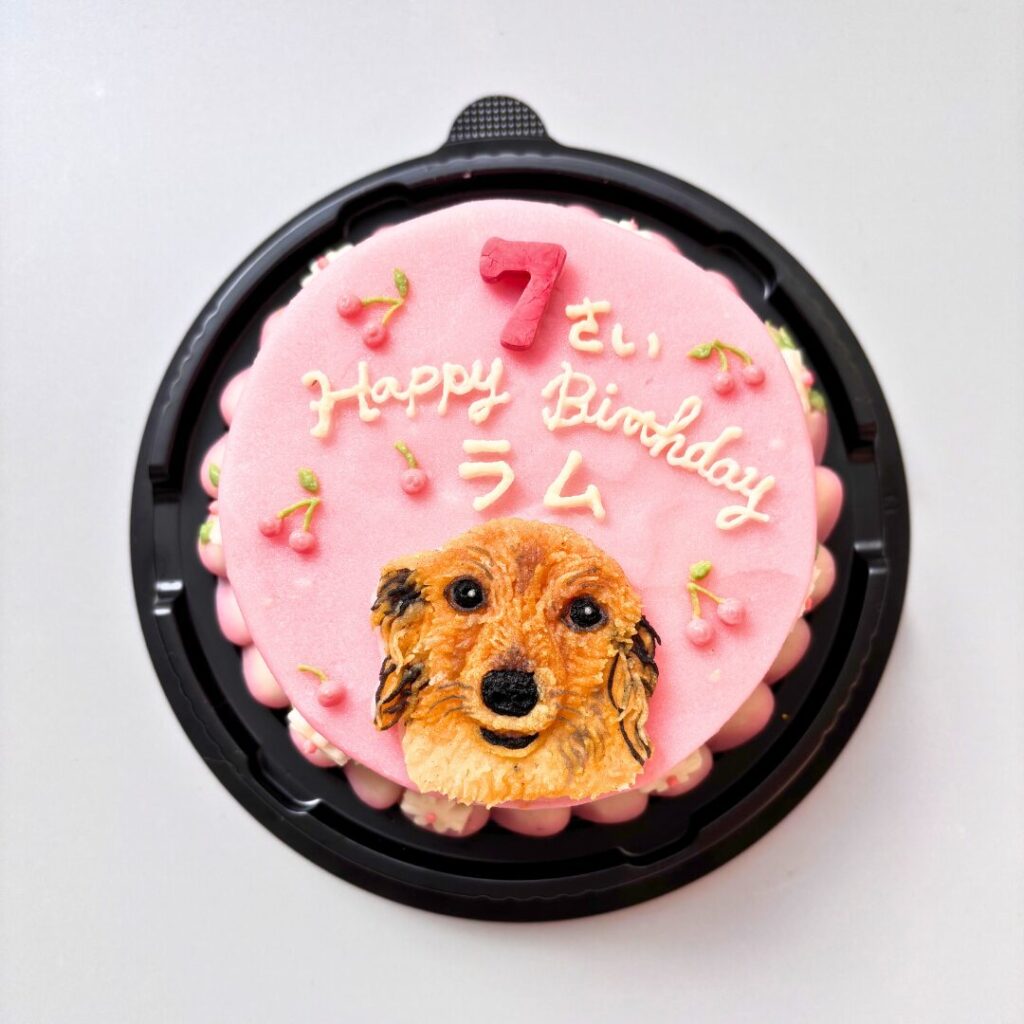 ケーキ