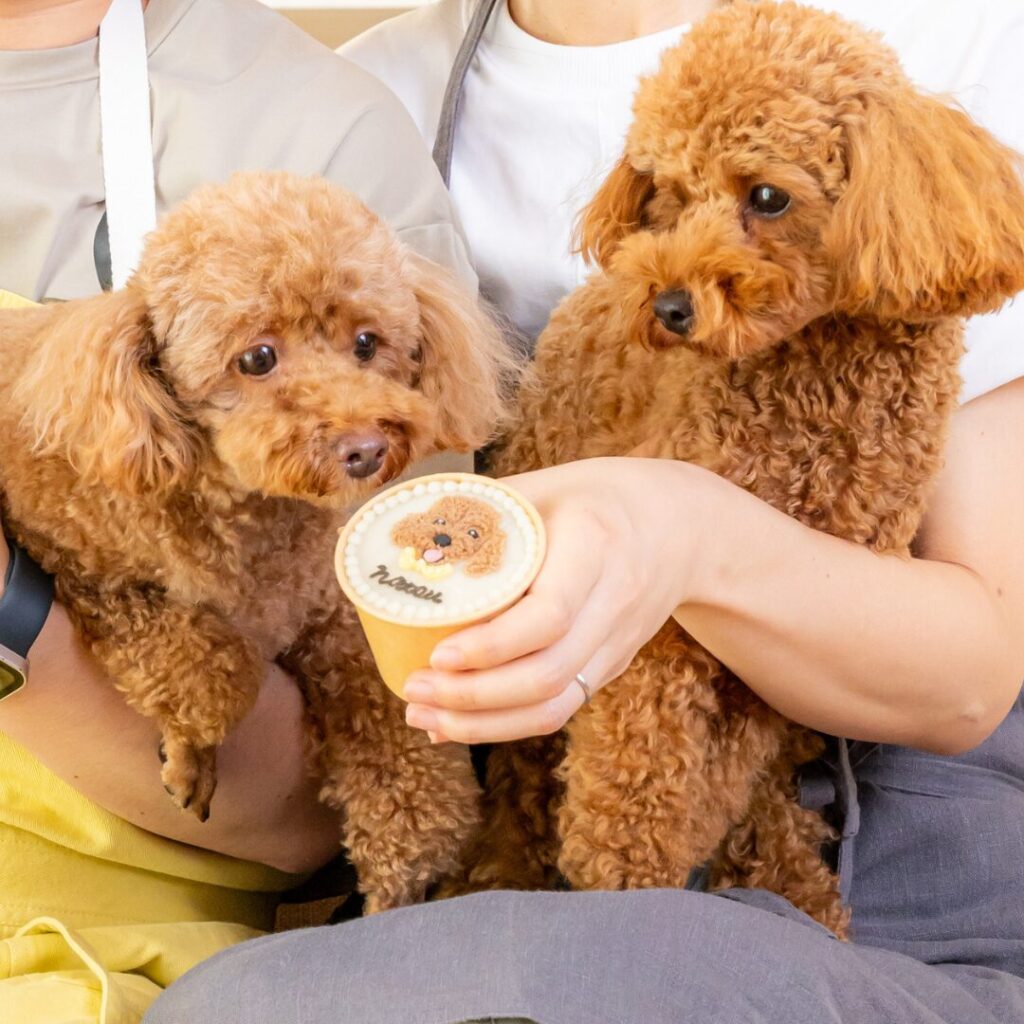 ケーキ