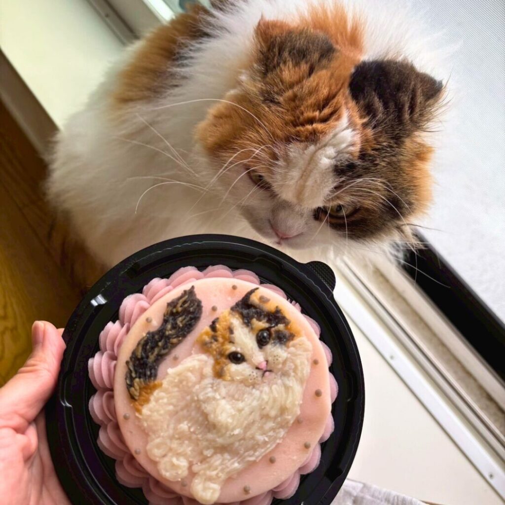 ケーキ
