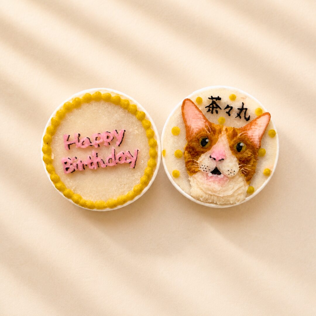 猫用ケーキ
