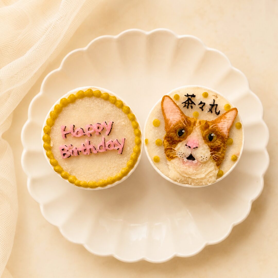 猫用オーダーケーキ｜LOULOU PETCAKE