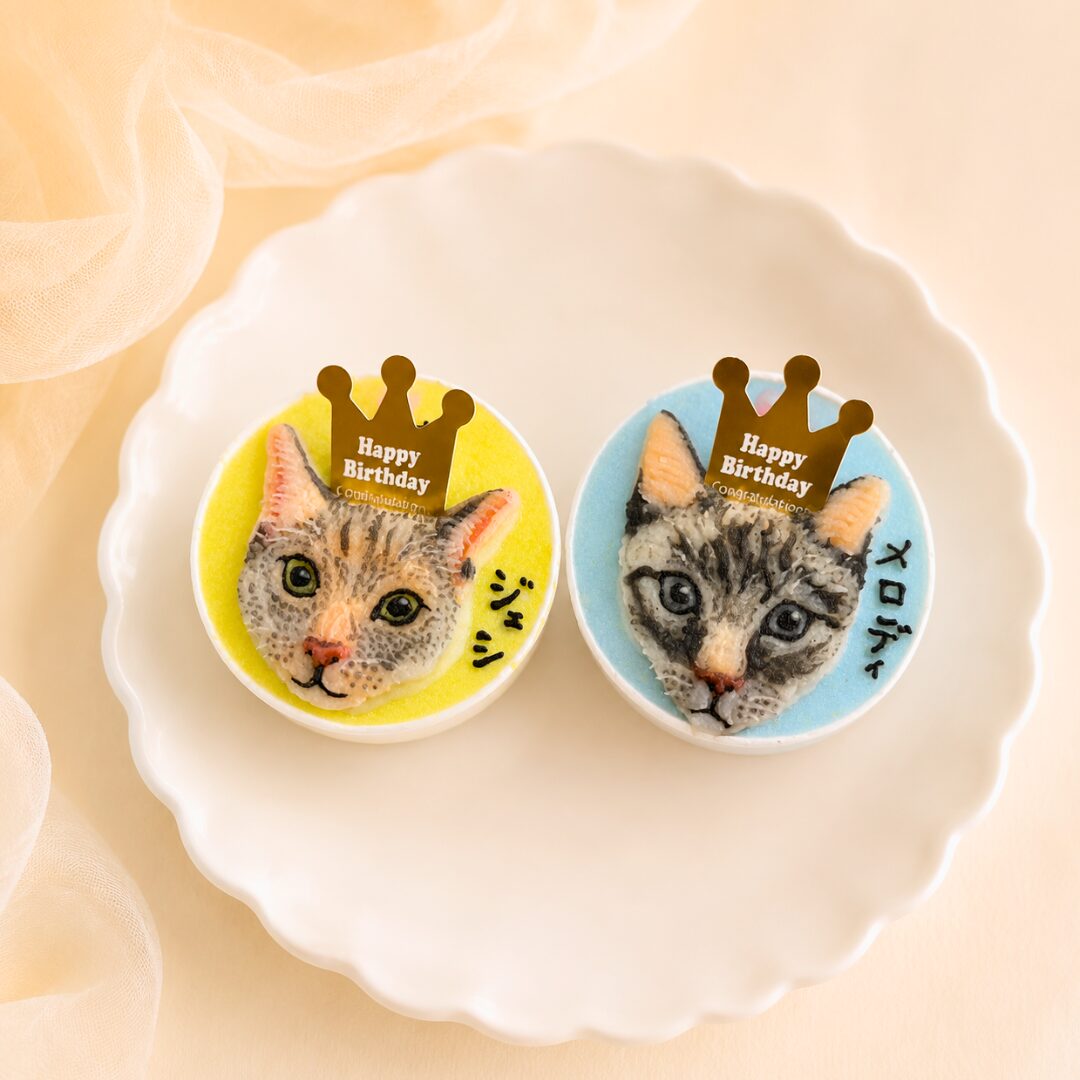 猫用オーダーケーキ｜LOULOU PETCAKE