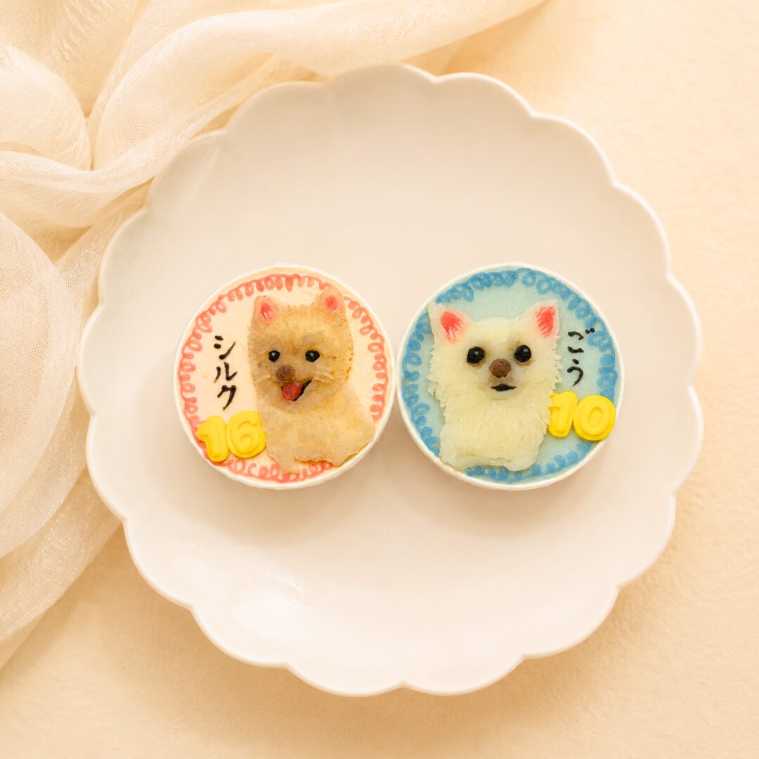 犬用カップケーキ｜LOULOU PETCAKE