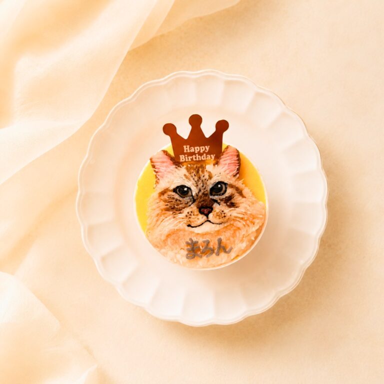 猫用オーダーケーキ 似顔絵｜LOULOU PETCAKE