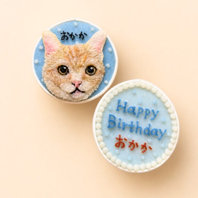 猫用オーダーケーキ 似顔絵｜LOULOU PETCAKE