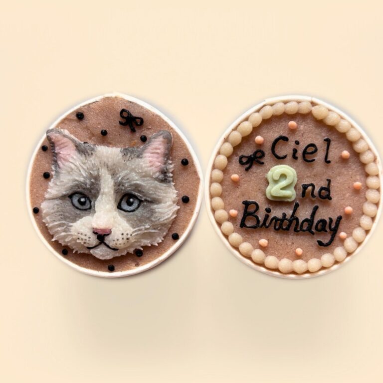 猫用オーダーケーキ 似顔絵｜LOULOU PETCAKE