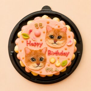 猫用オーダーケーキ 似顔絵｜LOULOU PETCAKE