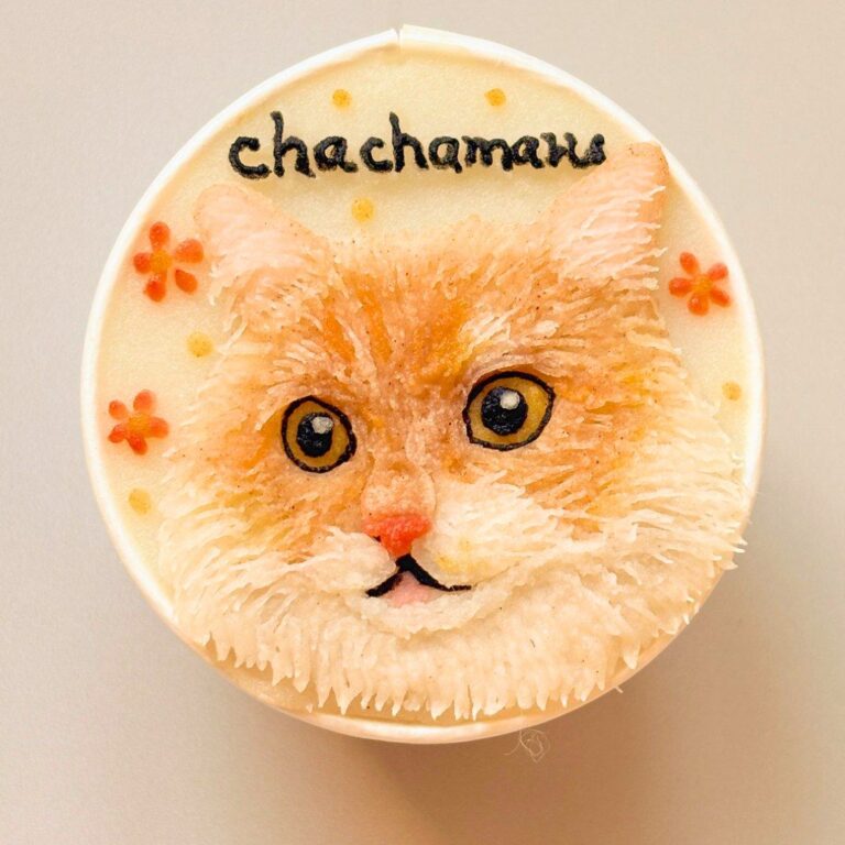 猫用オーダーケーキ 似顔絵｜LOULOU PETCAKE