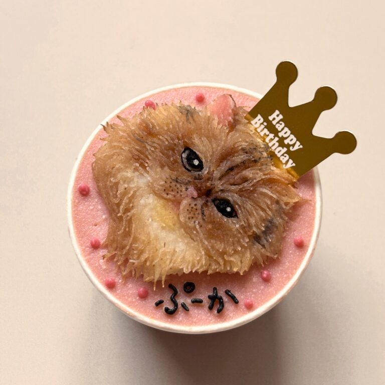 猫用オーダーケーキ 似顔絵｜LOULOU PETCAKE