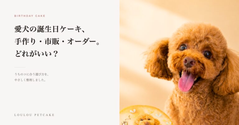愛犬と犬用誕生日ケーキ。手作り・市販・オーダーの選び方を紹介する記事のアイキャッチ
