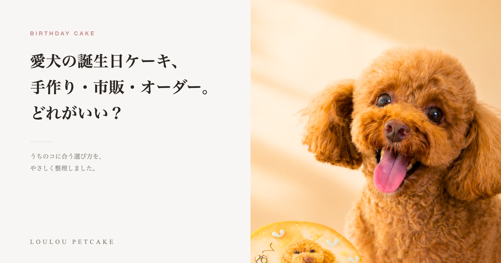愛犬と犬用誕生日ケーキ。手作り・市販・オーダーの選び方を紹介する記事のアイキャッチ