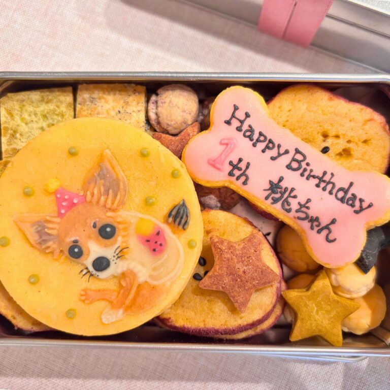 犬用クッキー缶｜LOULOU PETCAKE