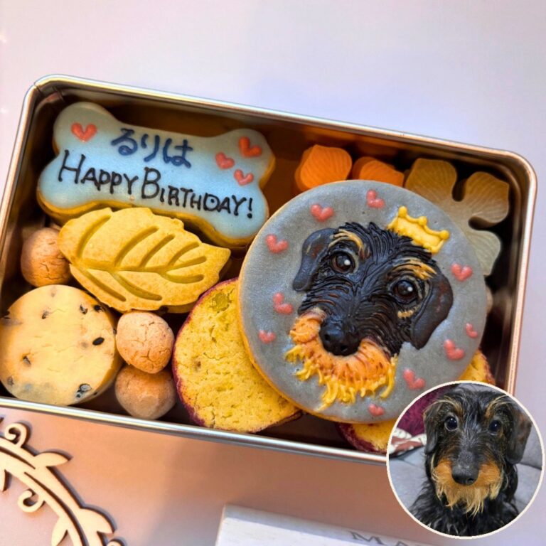 犬用クッキー缶｜LOULOU PETCAKE