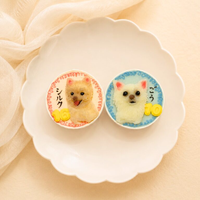 犬用カップケーキ｜LOULOU PETCAKE