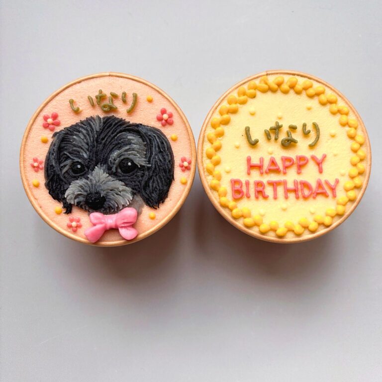 犬用カップケーキ｜LOULOU PETCAKE