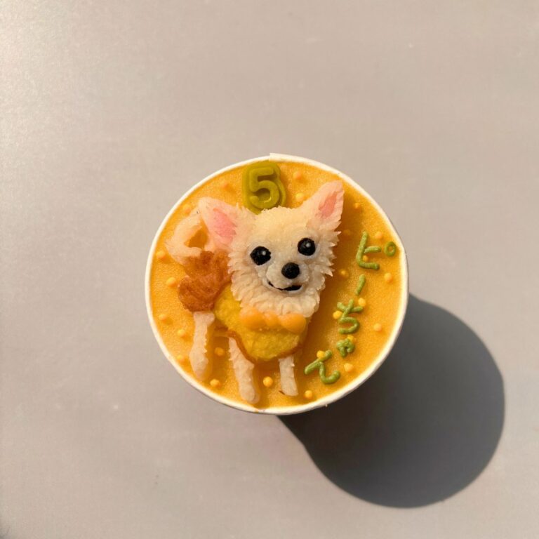 犬用カップケーキ｜LOULOU PETCAKE