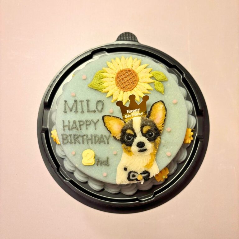 犬用オーダーケーキ 似顔絵｜LOULOU PETCAKE