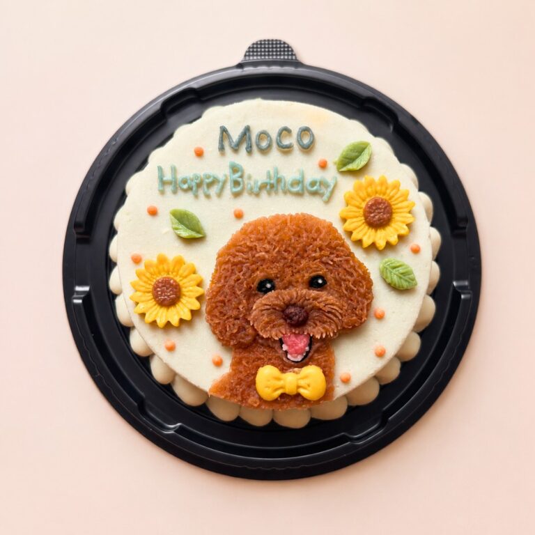 犬用オーダーケーキ 似顔絵｜LOULOU PETCAKE