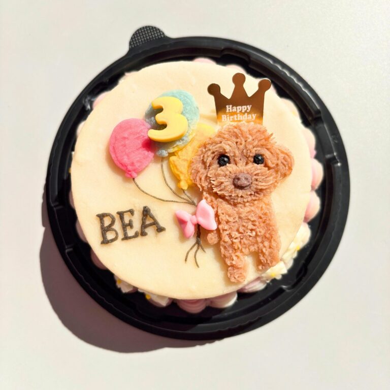 犬用オーダーケーキ 似顔絵｜LOULOU PETCAKE