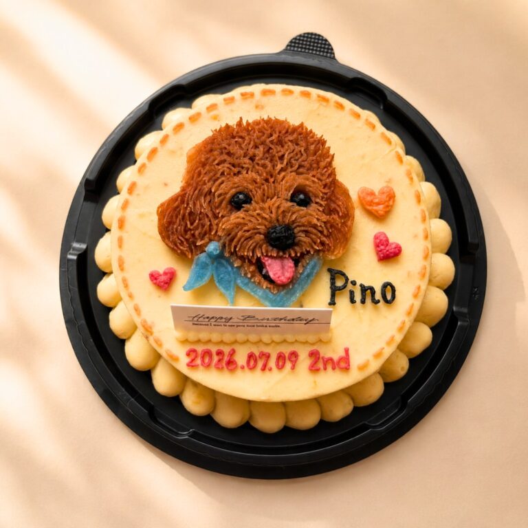 犬用オーダーケーキ 似顔絵｜LOULOU PETCAKE