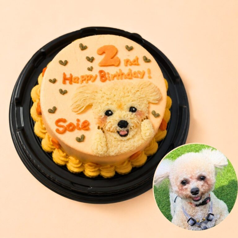 犬用オーダーケーキ 似顔絵｜LOULOU PETCAKE