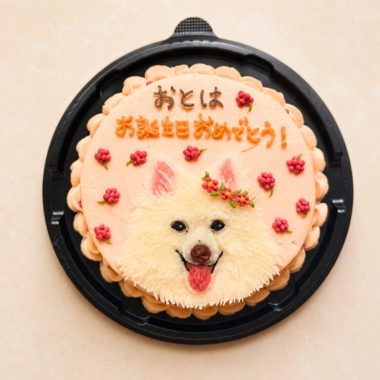 犬用オーダーケーキ 似顔絵｜LOULOU PETCAKE