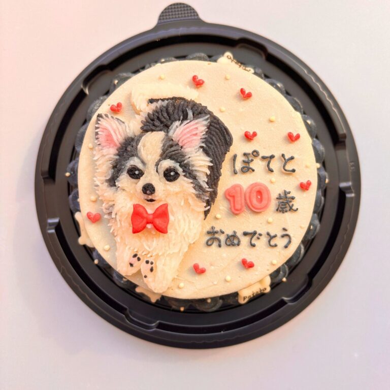 犬用オーダーケーキ 似顔絵｜LOULOU PETCAKE
