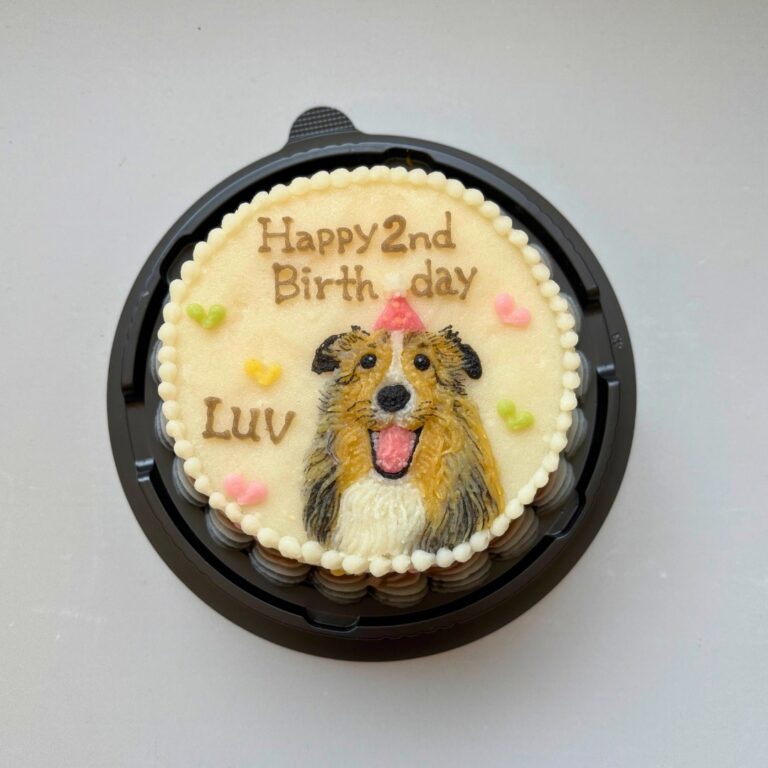 犬用オーダーケーキ 似顔絵｜LOULOU PETCAKE