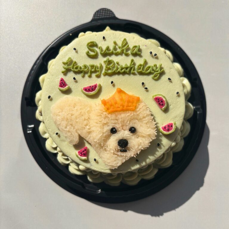 犬用オーダーケーキ 似顔絵｜LOULOU PETCAKE