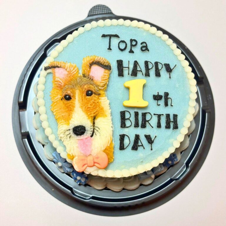 犬用オーダーケーキ 似顔絵｜LOULOU PETCAKE