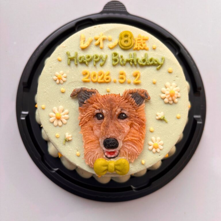 犬用オーダーケーキ 似顔絵｜LOULOU PETCAKE