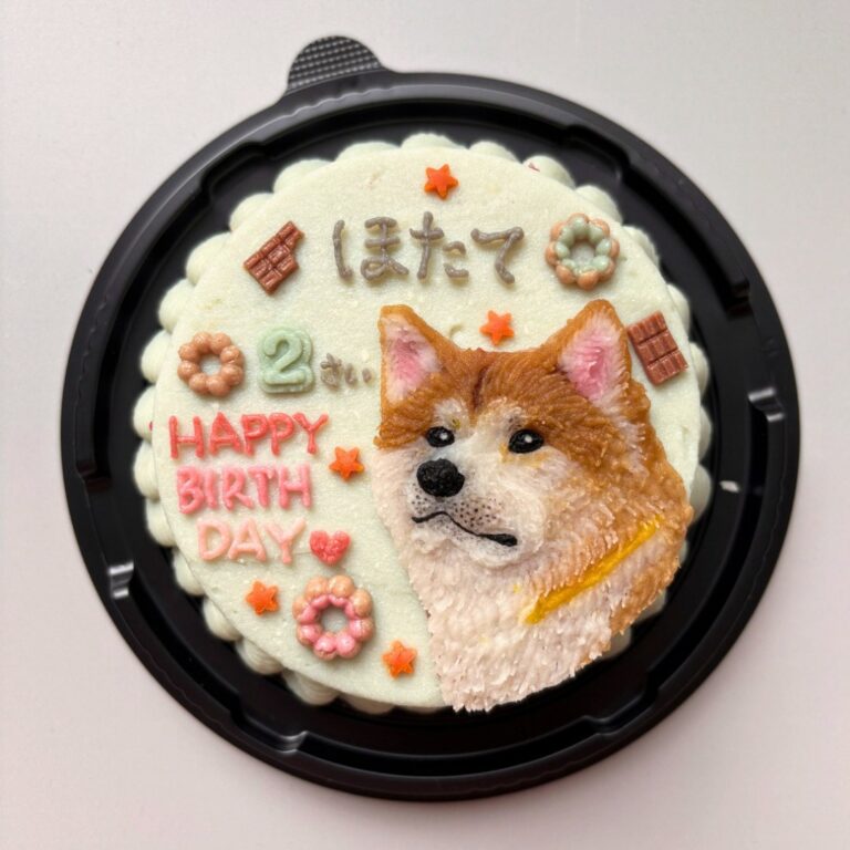 犬用オーダーケーキ 似顔絵｜LOULOU PETCAKE
