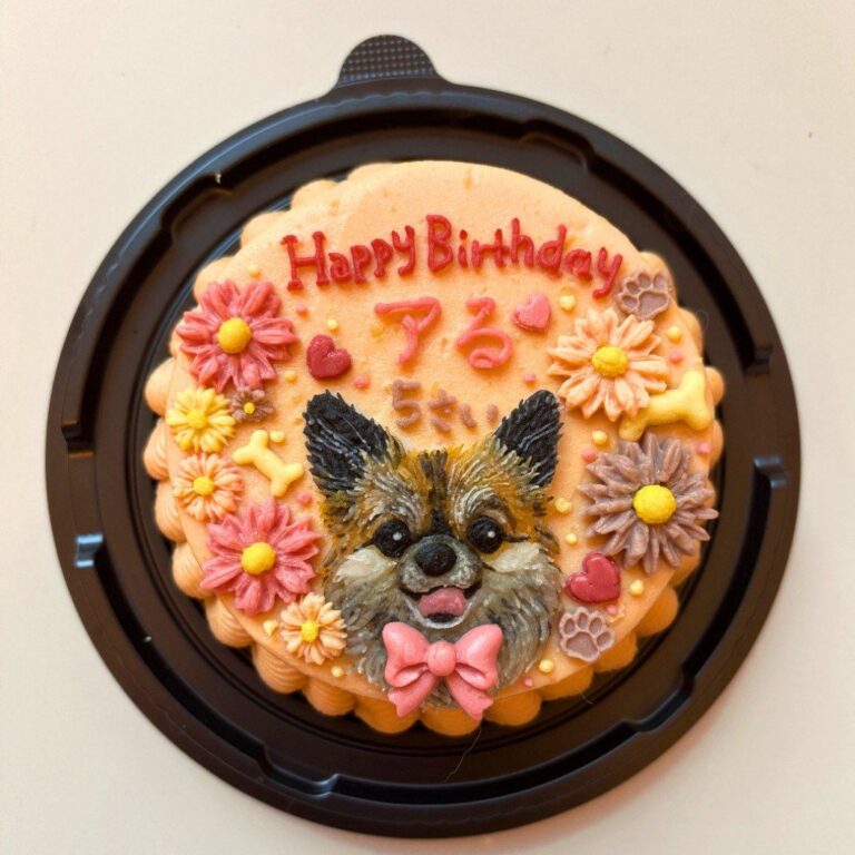 犬用オーダーケーキ 似顔絵｜LOULOU PETCAKE