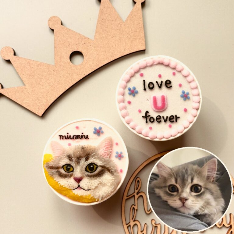 猫用オーダーケーキ 似顔絵｜LOULOU PETCAKE
