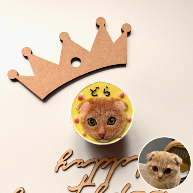 猫用オーダーケーキ 似顔絵｜LOULOU PETCAKE