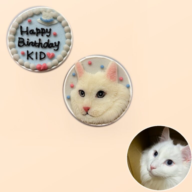 猫用オーダーケーキ 似顔絵｜LOULOU PETCAKE