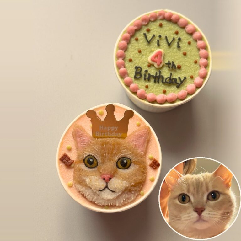 猫用オーダーケーキ 似顔絵｜LOULOU PETCAKE
