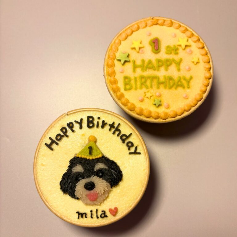 犬用オーダーケーキ 似顔絵｜LOULOU PETCAKE