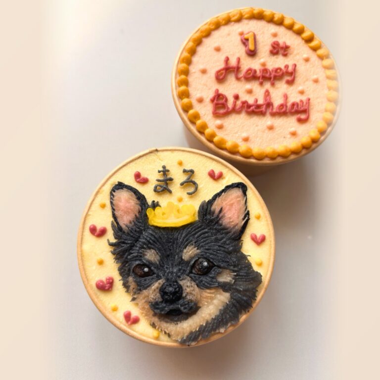 犬用オーダーケーキ 似顔絵｜LOULOU PETCAKE