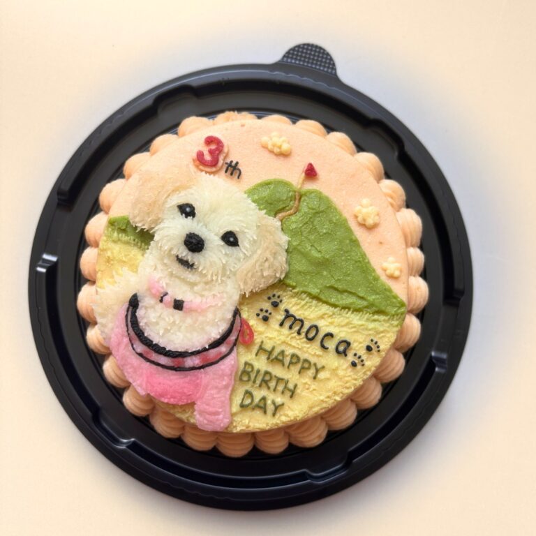 犬用オーダーケーキ 似顔絵｜LOULOU PETCAKE