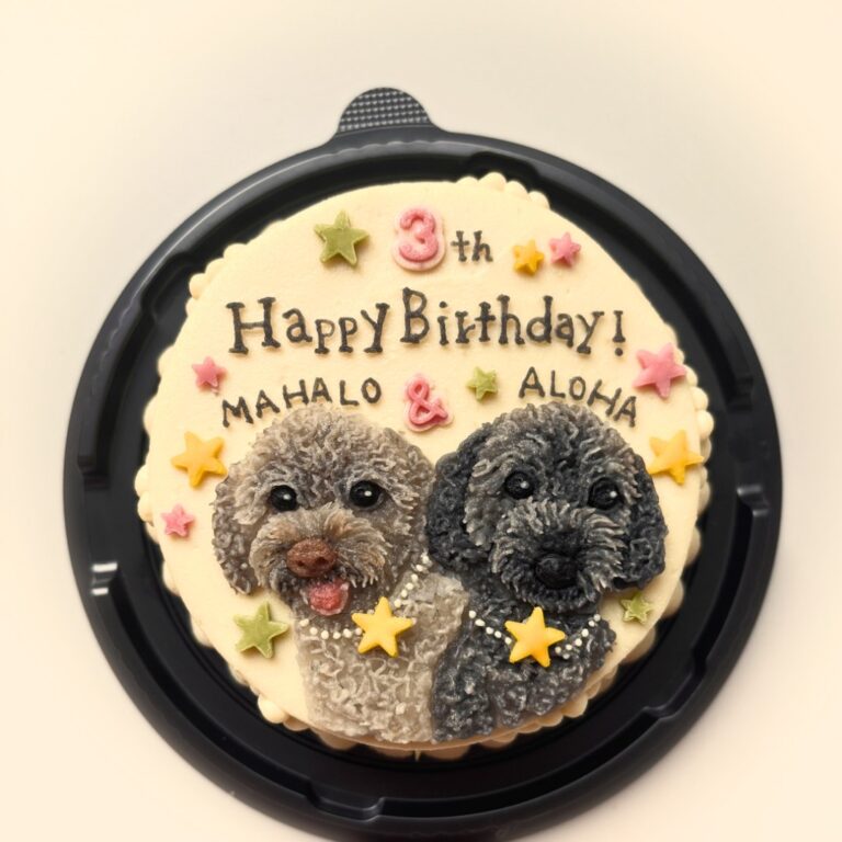 犬用オーダーケーキ 似顔絵｜LOULOU PETCAKE